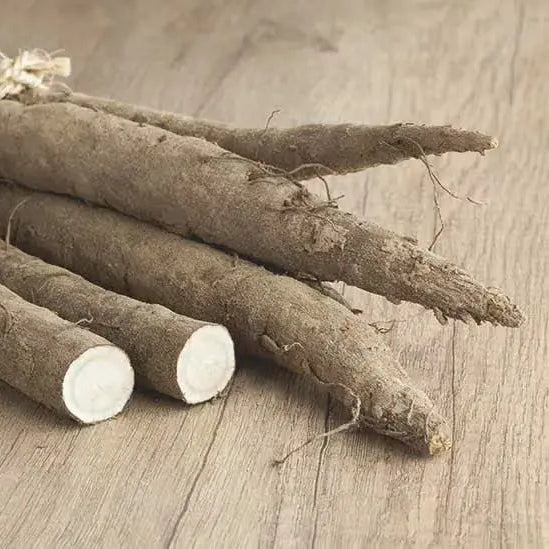 Burdock root