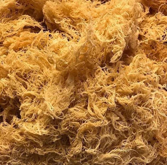 Wildcrafted sea moss